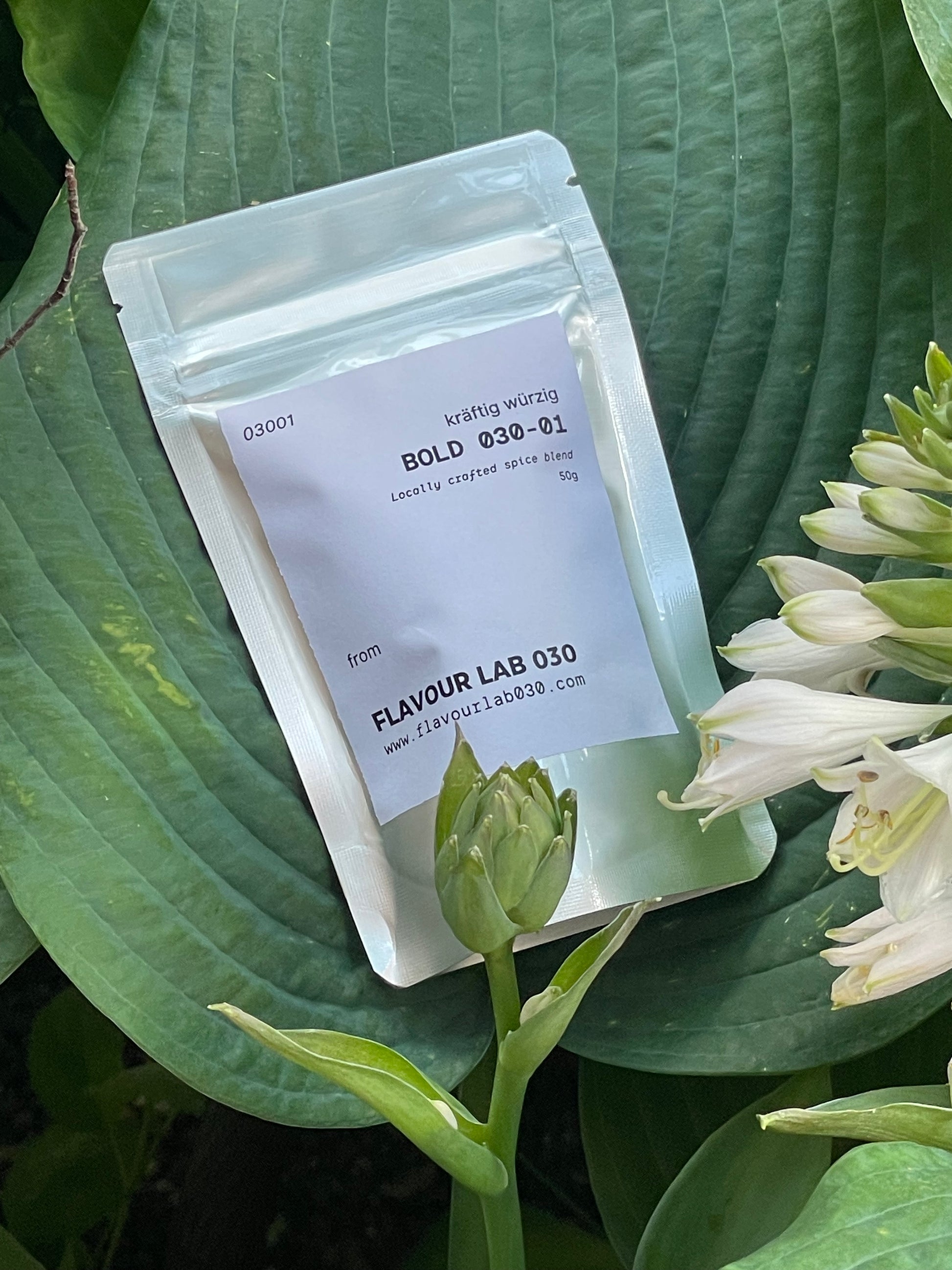 BOLD 030-01 | Gewuerzmischung, kräftig würzig (50 g)